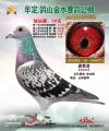 图片暂时未上传