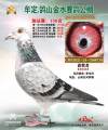 图片暂时未上传