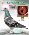 图片暂时未上传