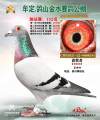 图片暂时未上传