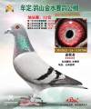 图片暂时未上传