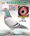 图片暂时未上传