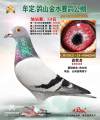 图片暂时未上传
