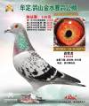 图片暂时未上传
