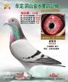 图片暂时未上传