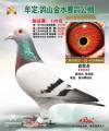 图片暂时未上传