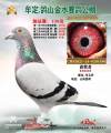 图片暂时未上传
