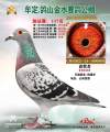 图片暂时未上传