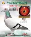 图片暂时未上传