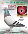 图片暂时未上传