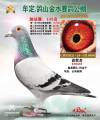 图片暂时未上传
