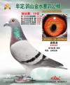 图片暂时未上传