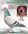 图片暂时未上传