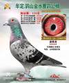 图片暂时未上传