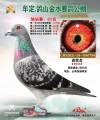 图片暂时未上传