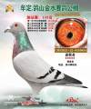 图片暂时未上传