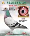 图片暂时未上传