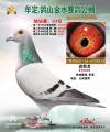 图片暂时未上传