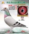 图片暂时未上传