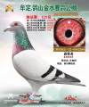 图片暂时未上传