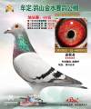 图片暂时未上传