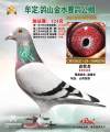 图片暂时未上传