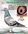 图片暂时未上传