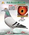 图片暂时未上传