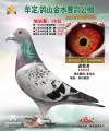 图片暂时未上传