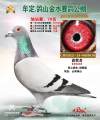 图片暂时未上传