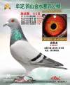 图片暂时未上传