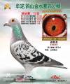 图片暂时未上传