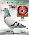 图片暂时未上传