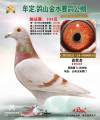 图片暂时未上传