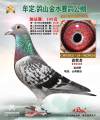 图片暂时未上传