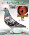 图片暂时未上传