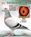 图片暂时未上传