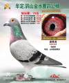 图片暂时未上传