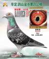 图片暂时未上传
