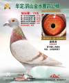 图片暂时未上传
