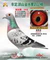 图片暂时未上传
