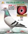 图片暂时未上传