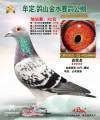 图片暂时未上传