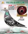 图片暂时未上传