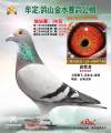 图片暂时未上传