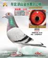 图片暂时未上传