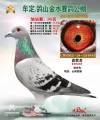 图片暂时未上传