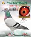 图片暂时未上传