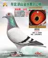 图片暂时未上传