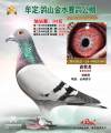 图片暂时未上传
